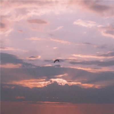 坦克大师手游官方